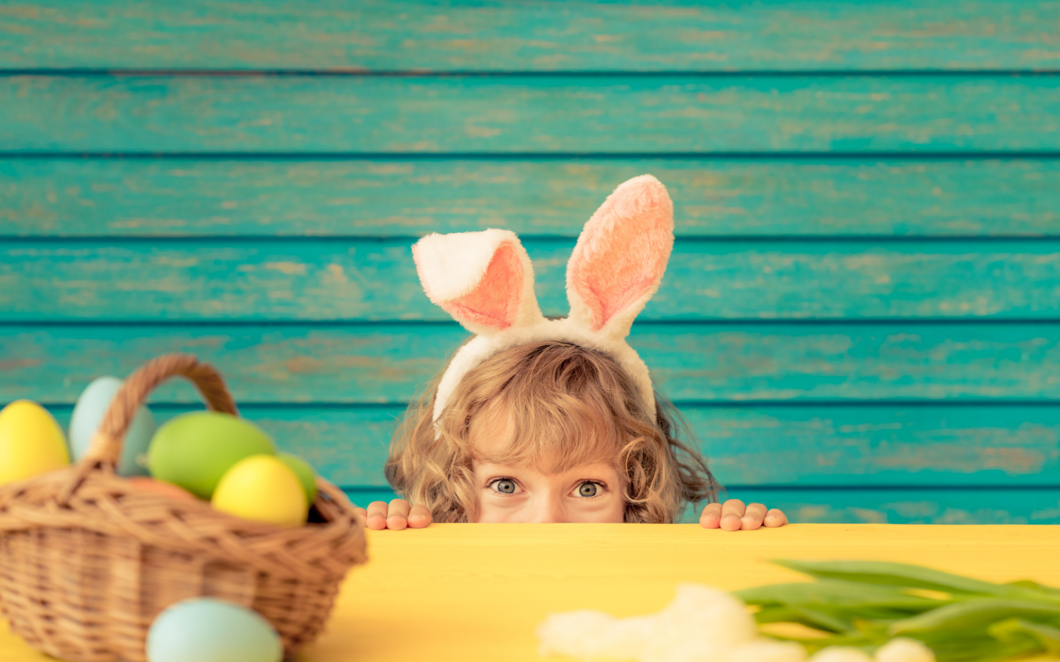 De Easterbunny (of Paashaas) Uw Dierenarts De Easterbunny (of Paashaas) Uw Dierenarts