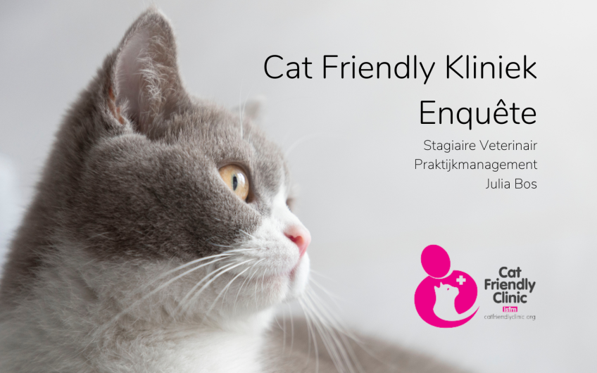 Cat Friendly kliniek – Enquête