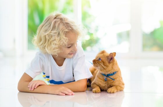 Een logé met pootjes: zo maak je er samen een fijne vakantie van