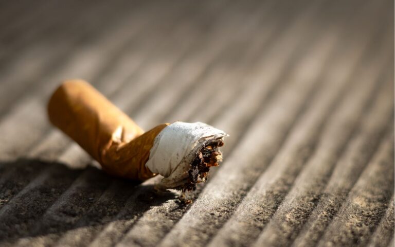 Roken en je huisdier: wat doet het met je hond of kat?