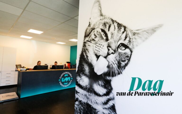 Wat doet een paraveterinair? Een veelzijdig beroep in de dierenkliniek